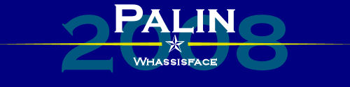 Palin and McCain bumper sticker